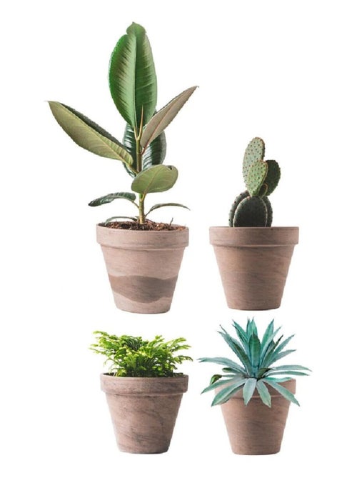 Autocollant de vitre pots de plantes - Kiabi