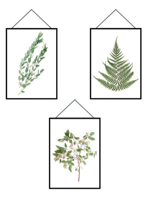 Autocollant Mural cadres Herbiers - Kiabi