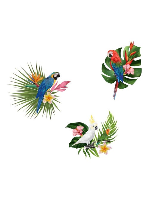 Autocollant mural perroquets exotiques - Kiabi