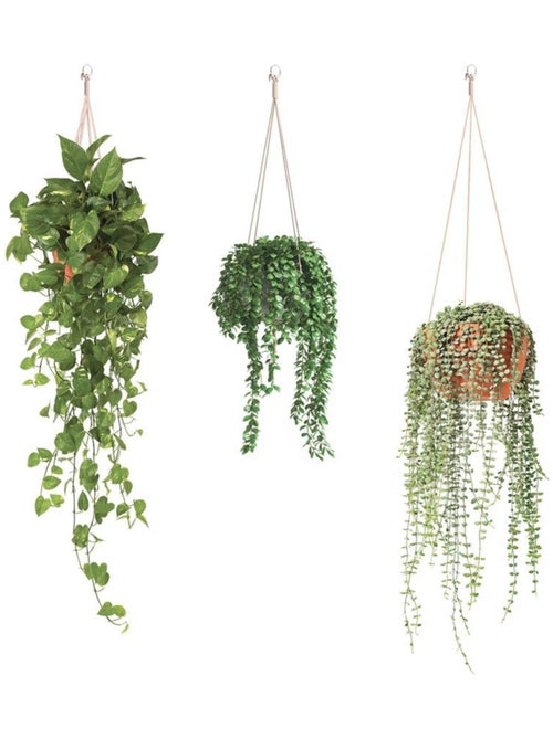 Autocollant mural suspensions de plantes - Kiabi