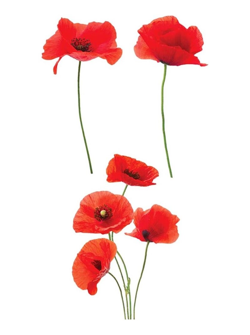 Autocollant pour vitres coquelicots Rouge - Kiabi