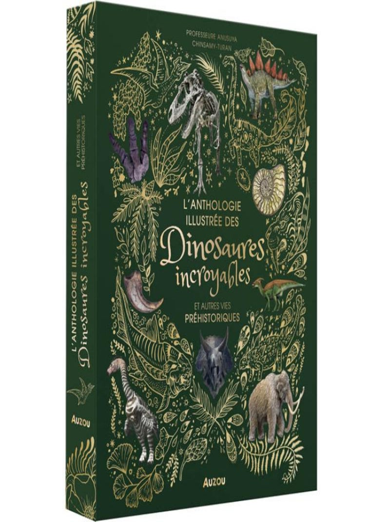 Auzou Editions - L'anthologie illustrée des dinosaures incroyables et autres vies préhistoriques N/A - Kiabi