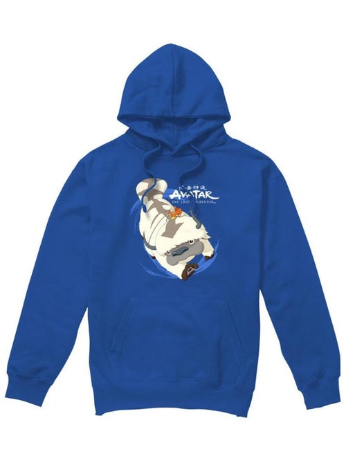 Avatar: The Last Airbender - Sweat à capuche IN FLIGHT - Kiabi