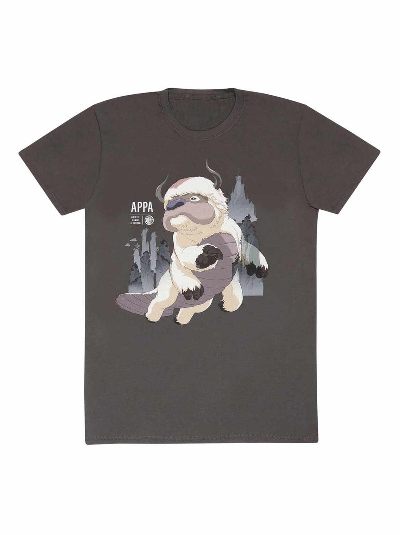 Avatar: The Last Airbender - T-shirt Gris foncé - Kiabi