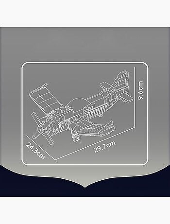 Avion de course à hélice