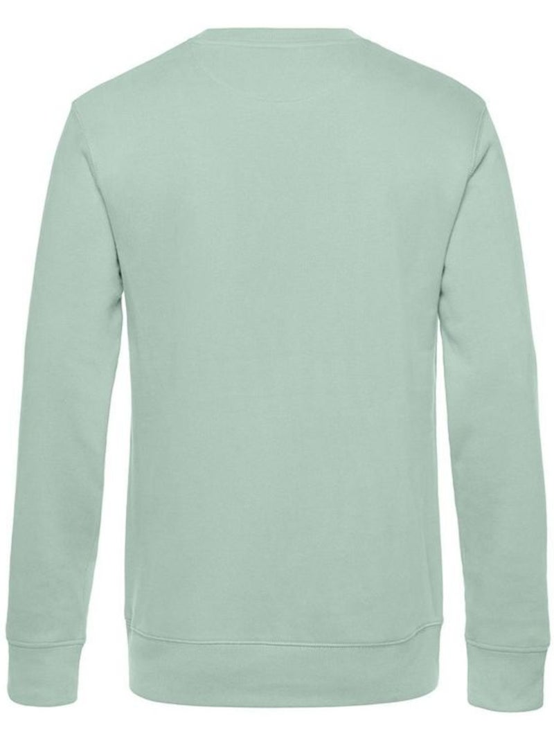 B and c pull à col ras du cou king pour hommes - b&c Vert clair - Kiabi