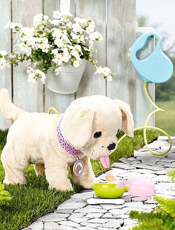 Baby born mon chien lucky avec box