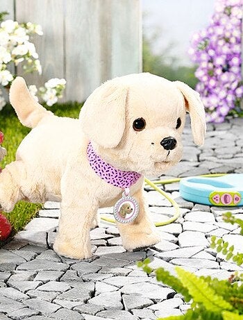 Baby born mon chien lucky avec box