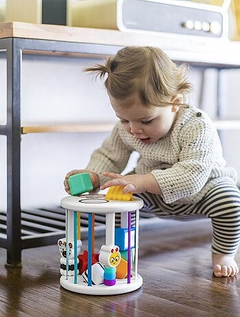 Baby Einstein - Boîte à formes