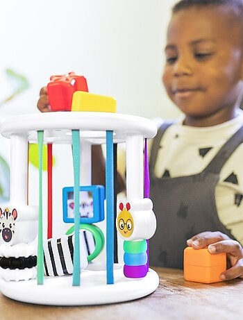 Baby Einstein - Boîte à formes