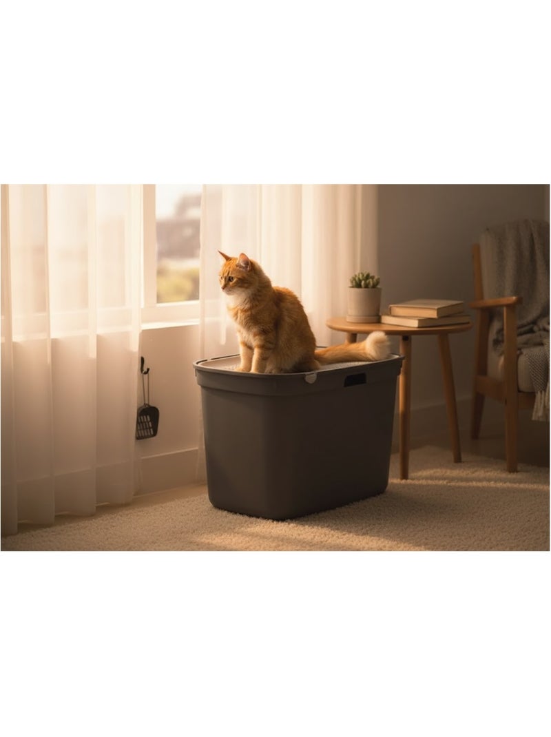 Bac a litière pour chat entrée par le dessus kato Gris clair - Kiabi