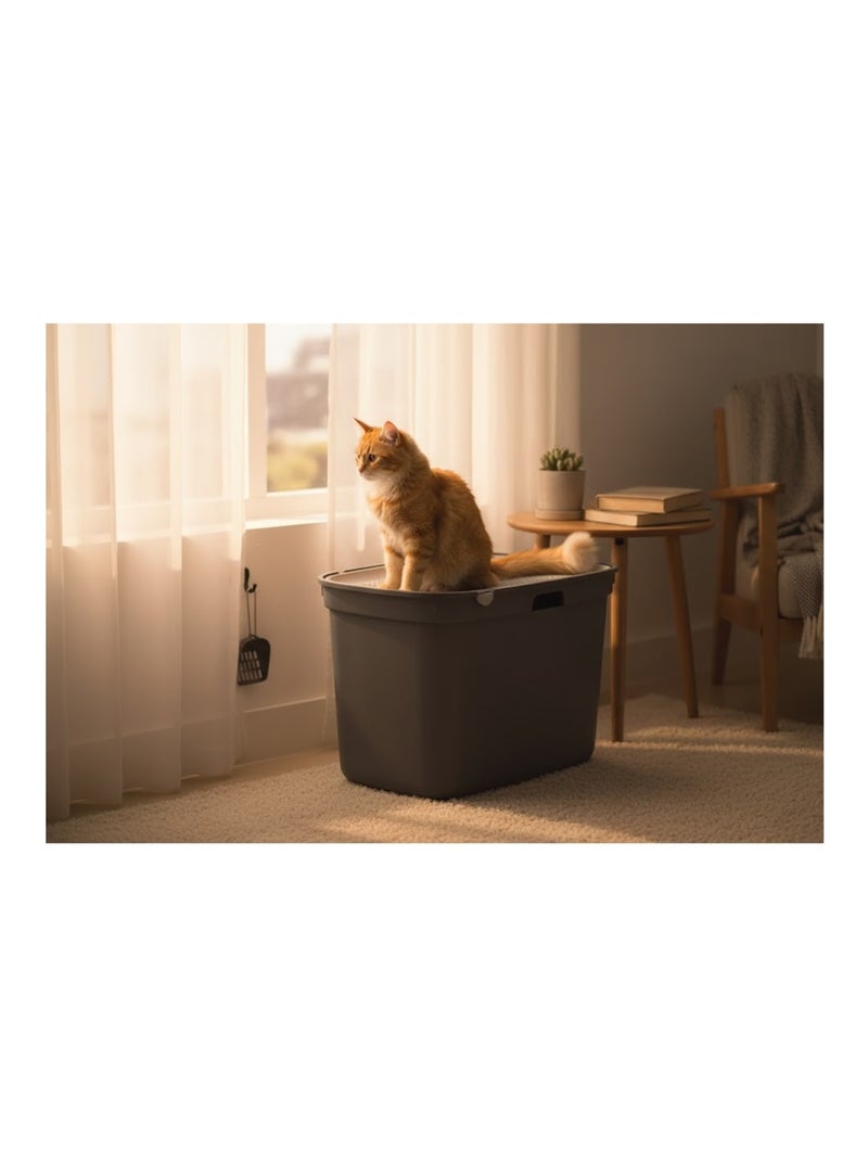 Bac a litière pour chat entrée par le dessus Kato Gris - Kiabi