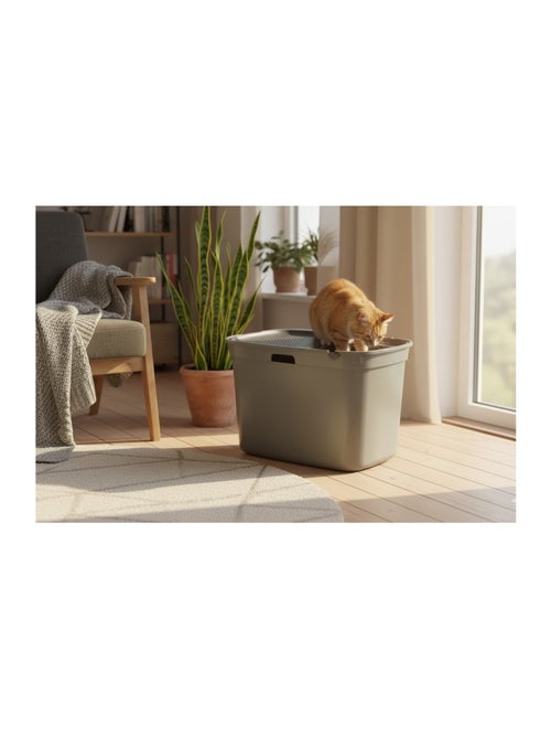 Bac a litière pour chat entrée par le dessus Kato - Kiabi
