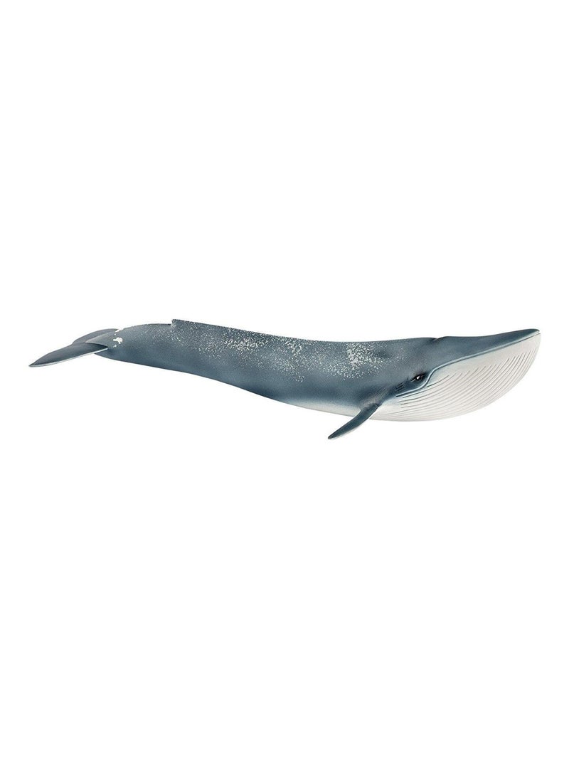 Baleine bleue Blanc - Kiabi