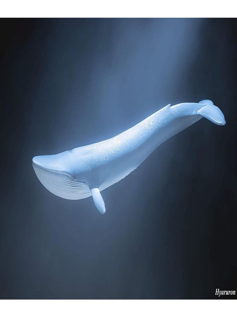 Baleine bleue Blanc - Kiabi