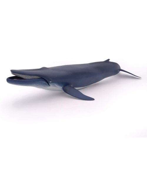Baleine bleue - Kiabi