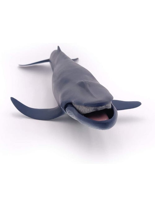 Baleine bleue - Kiabi