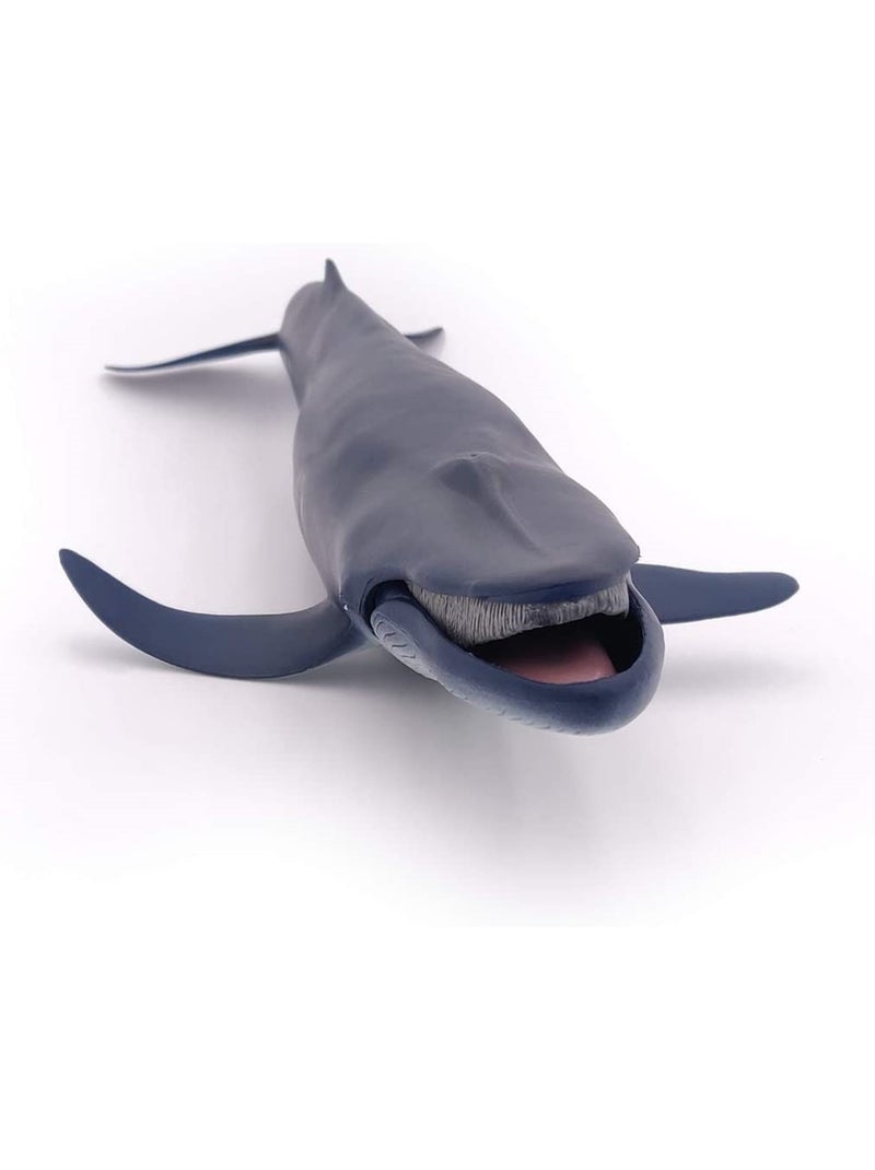 Baleine bleue Bleu marine - Kiabi