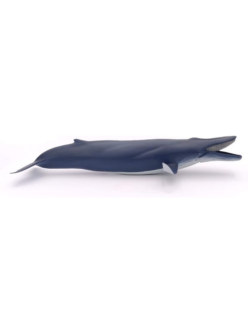 Baleine bleue - Kiabi