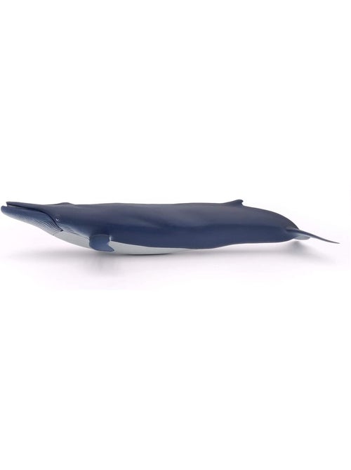 Baleine bleue - Kiabi