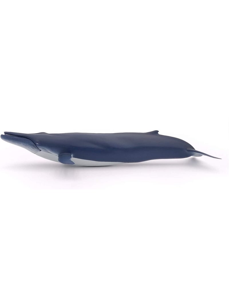 Baleine bleue Bleu marine - Kiabi