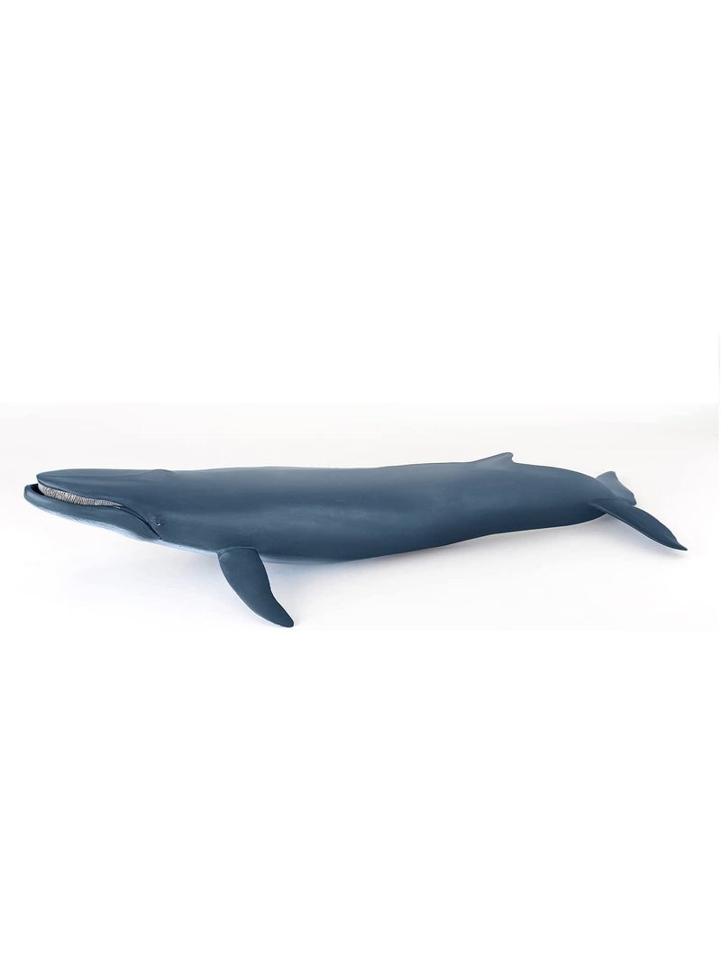 Baleine bleue Bleu marine - Kiabi