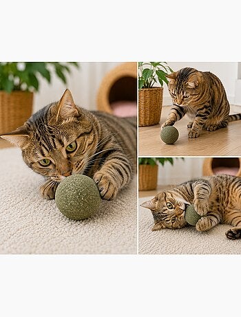 Balle de cataire naturelle katti jouet pour chat