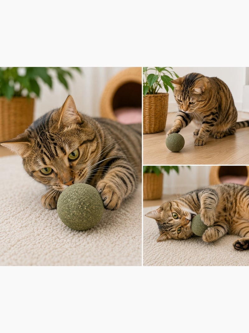 Balle de cataire naturelle Katti Jouet pour chat Vert - Kiabi