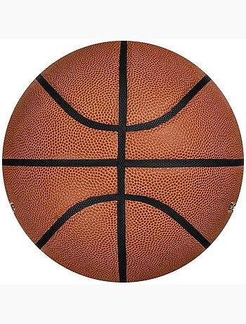 Ballon de basket jordan championship - nike