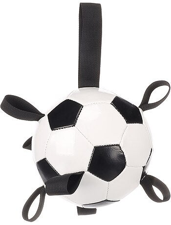 Ballon de football flottant avec rubans pour chien