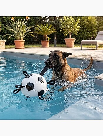 Ballon de football flottant avec rubans pour chien