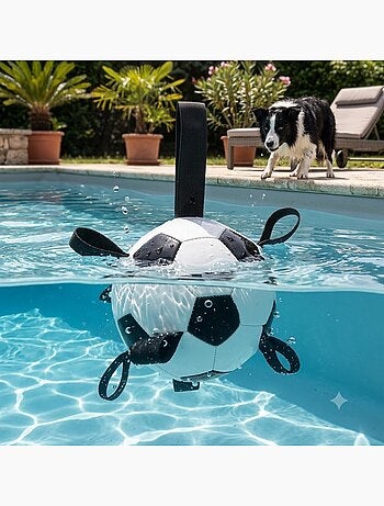 Ballon de football flottant avec rubans pour chien