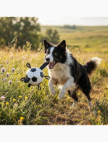 Ballon de football flottant avec rubans pour chien