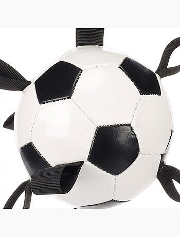 Ballon de football flottant avec rubans pour chien