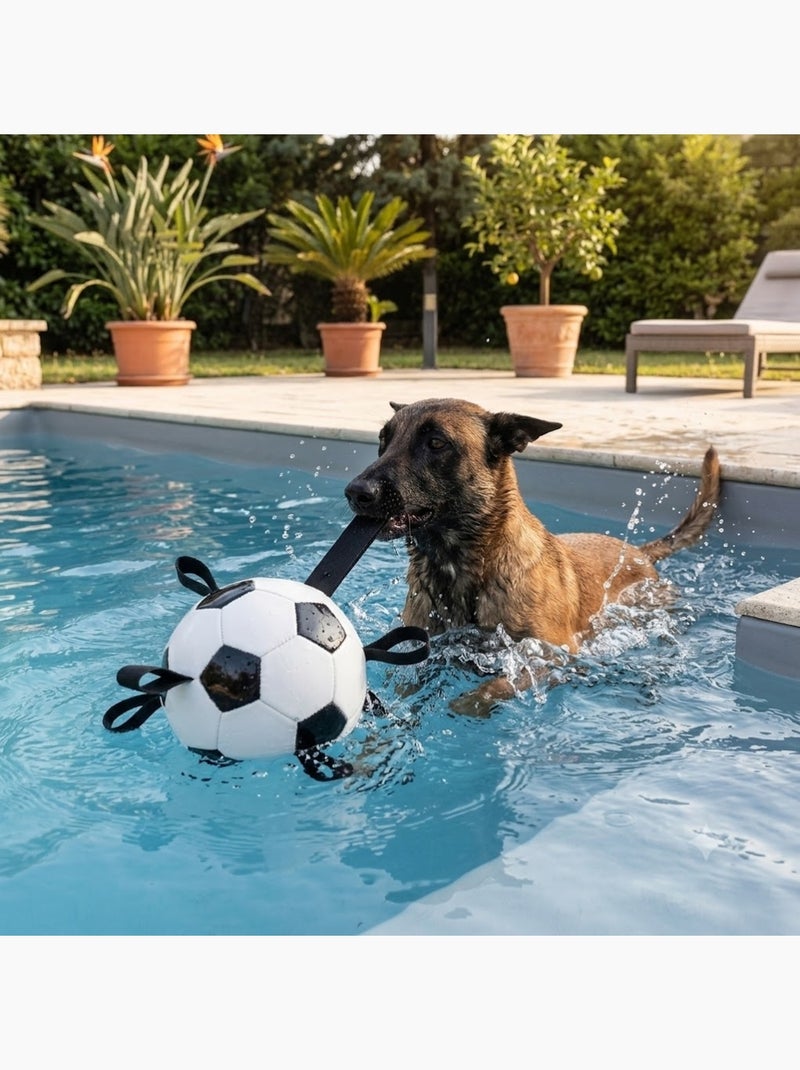 Ballon de Football Flottant avec Rubans pour Chien Blanc - Kiabi