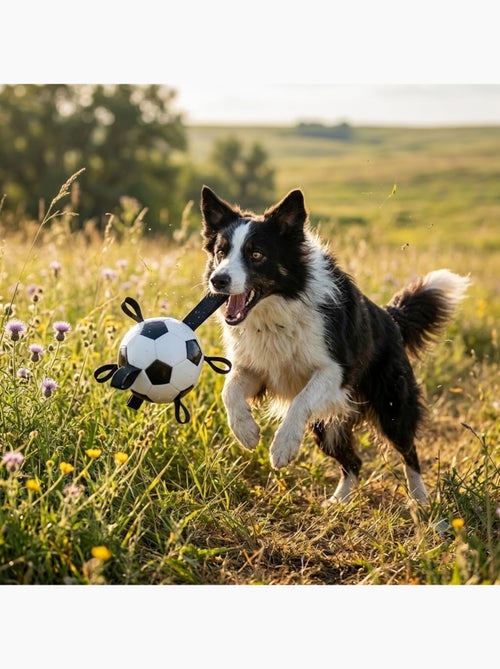 Ballon de Football Flottant avec Rubans pour Chien - Kiabi