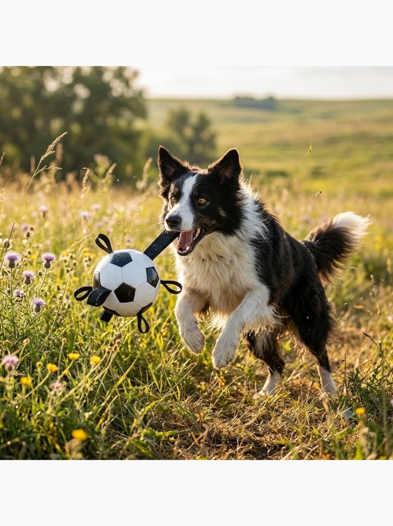 Ballon de Football Flottant avec Rubans pour Chien Blanc - Kiabi