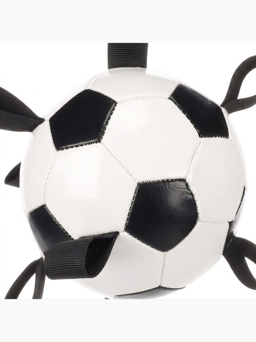 Ballon de Football Flottant avec Rubans pour Chien - Kiabi