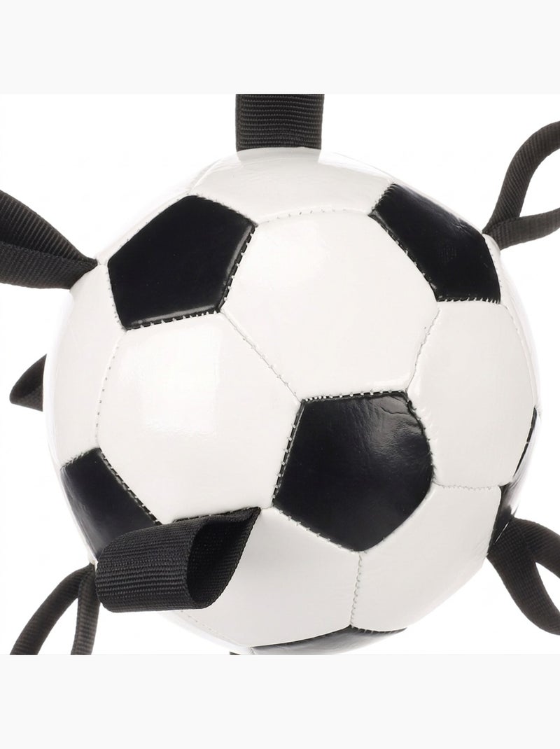 Ballon de Football Flottant avec Rubans pour Chien Blanc - Kiabi