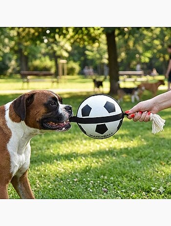 Ballon de football matchball pour chien 20 cm avec corde