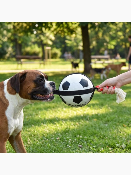 Ballon de football matchball pour chien 20 cm avec corde - Kiabi