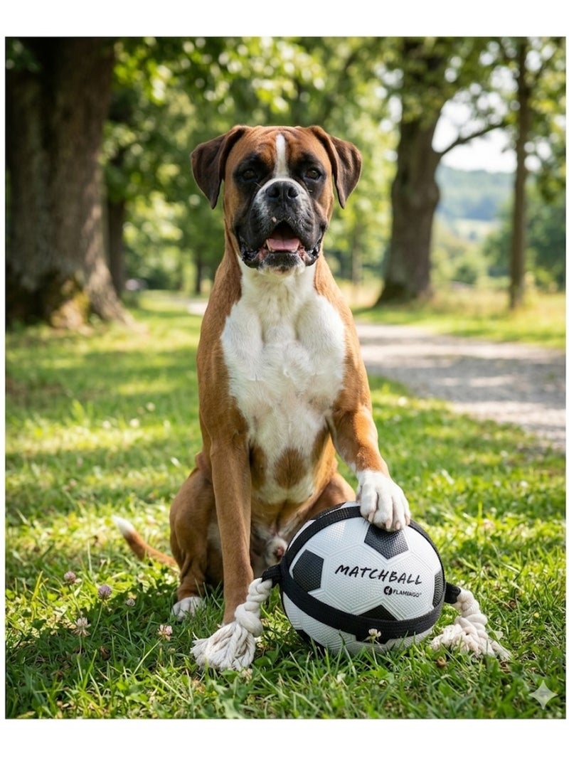 Ballon de football matchball pour chien 20 cm avec corde Blanc - Kiabi