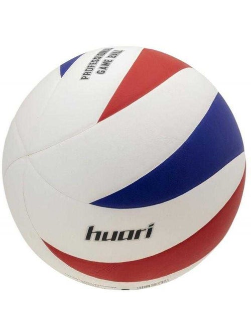 Ballon de volley-ball motif/style logo seagulls - huari - Kiabi