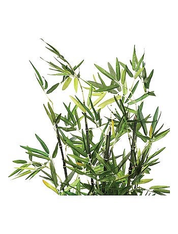 Bambou artificiel en pot céramique