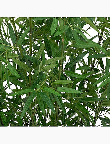 Bambou artificiel, pot naturel LY