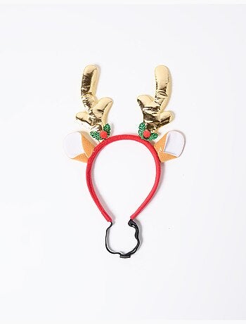 Bandeau de chien, MO Fashion