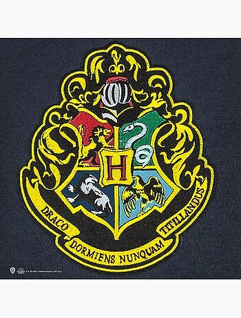 Bannière Poudlard - Harry Potter