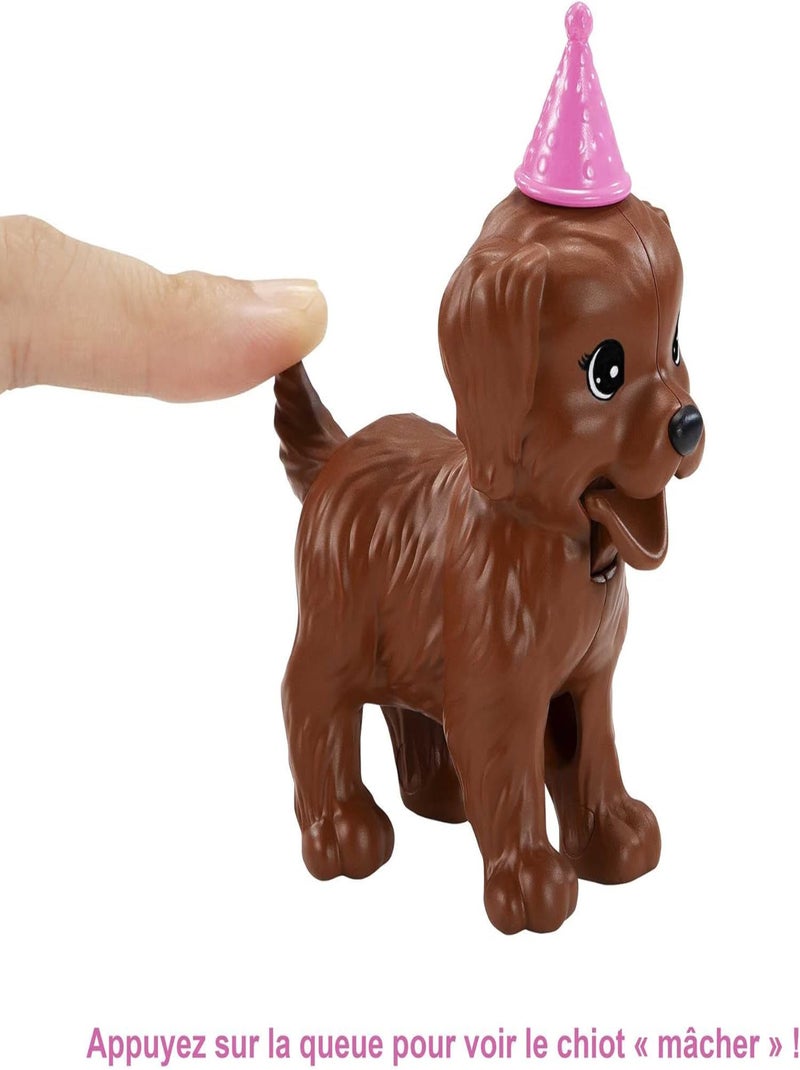 Barbie Coffret Anniversaire Des Chiens - Mattel Multicolore - Kiabi