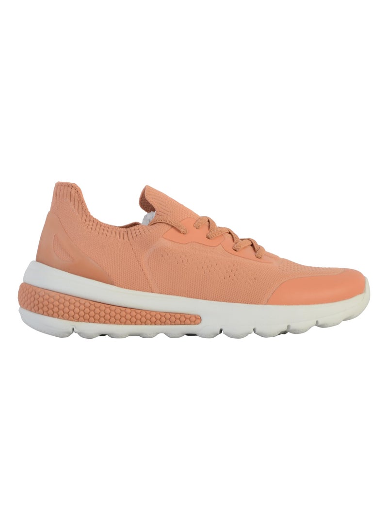 Basket à Lacets Geox Spherica Actif Beige - Kiabi