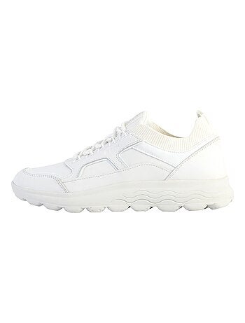 Basket Geox Cuir Spherica C - Nap+Knitt